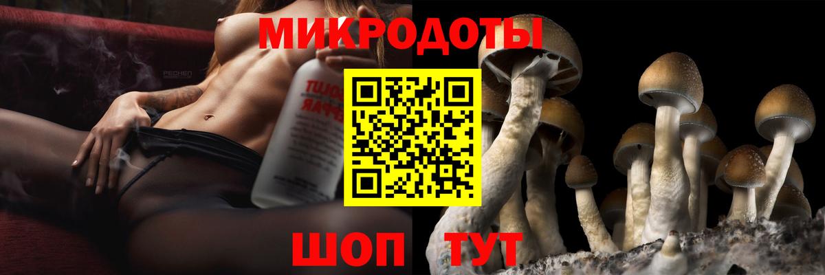 Галлюциногенные грибы Psilocybine cubensis  Вход с VPN  Псилоцибиновые грибы прущие грибы  Рославль 